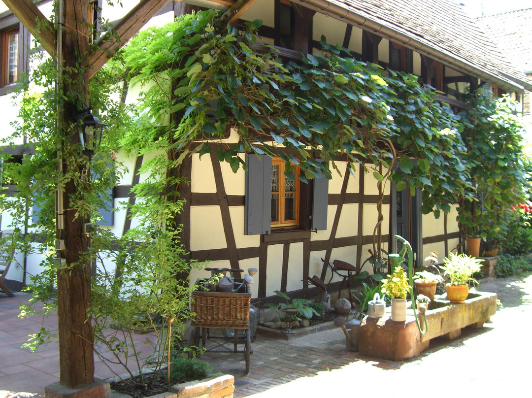 Hochfelden旅游攻略图片