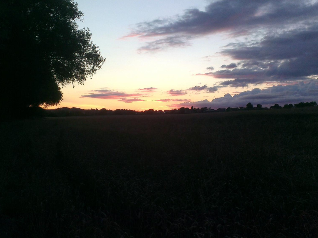 Frickley Park景点图片