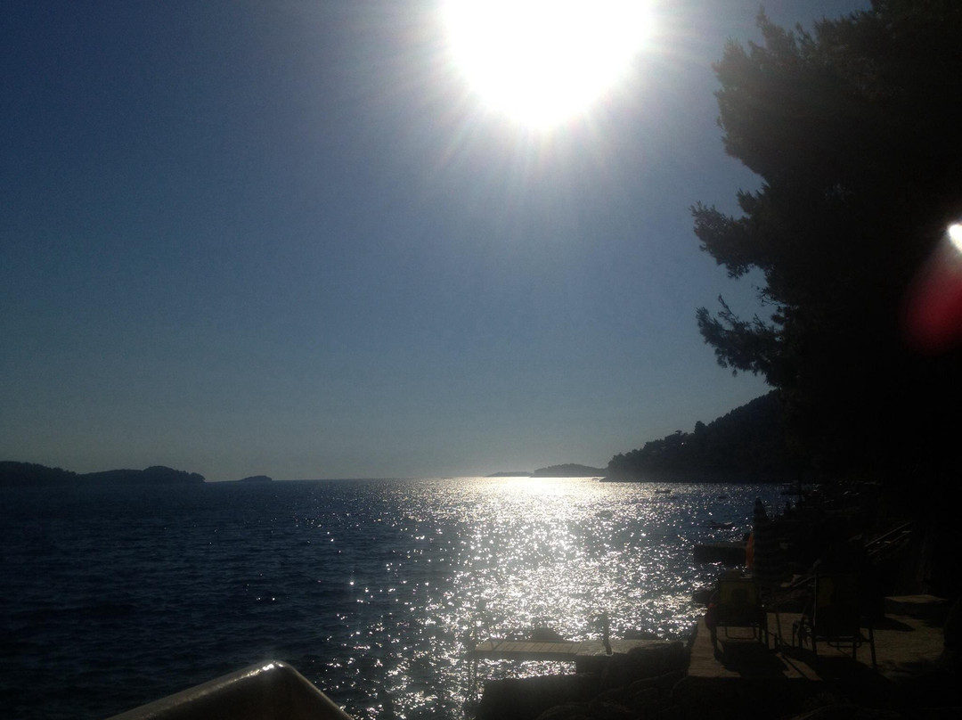 Korcula Island景点图片