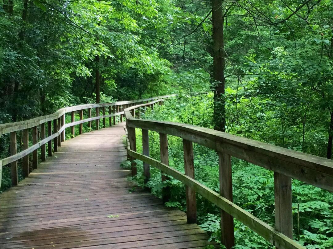 Rattray Marsh Conservation Area景点图片