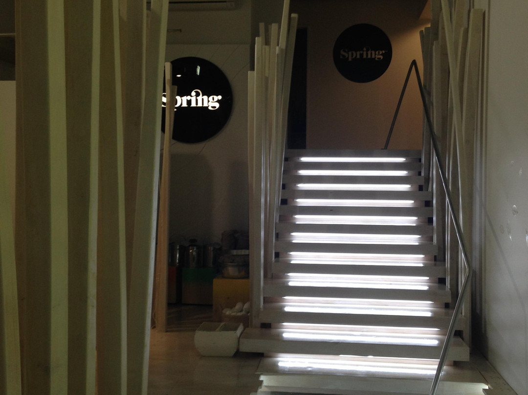 Spring-奥克兰中心地区必去景点