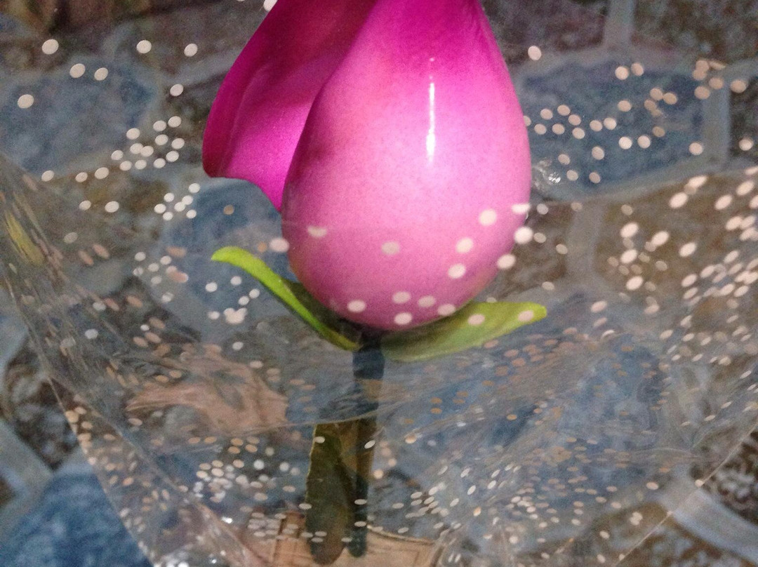 Periwinkle Way景点图片