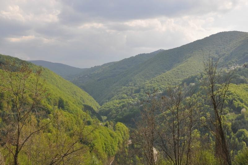 Vlasinsko Jezero旅游攻略图片