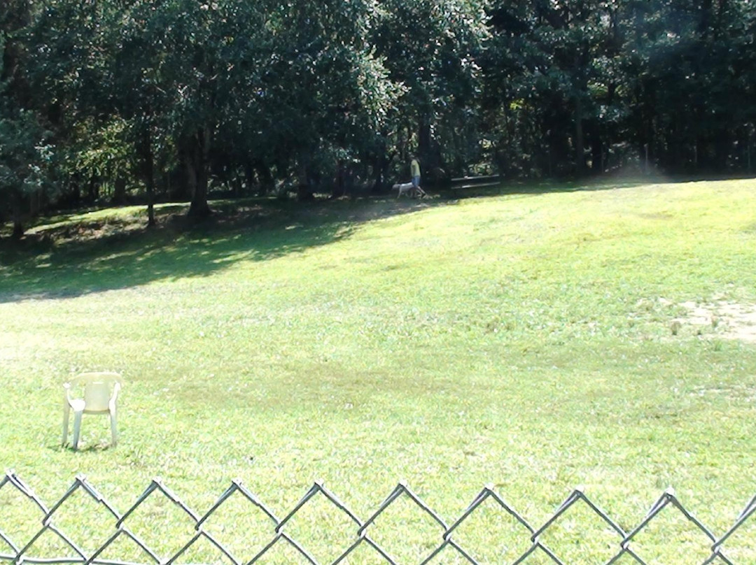 Central Bark Dog Park-格罗顿必去景点