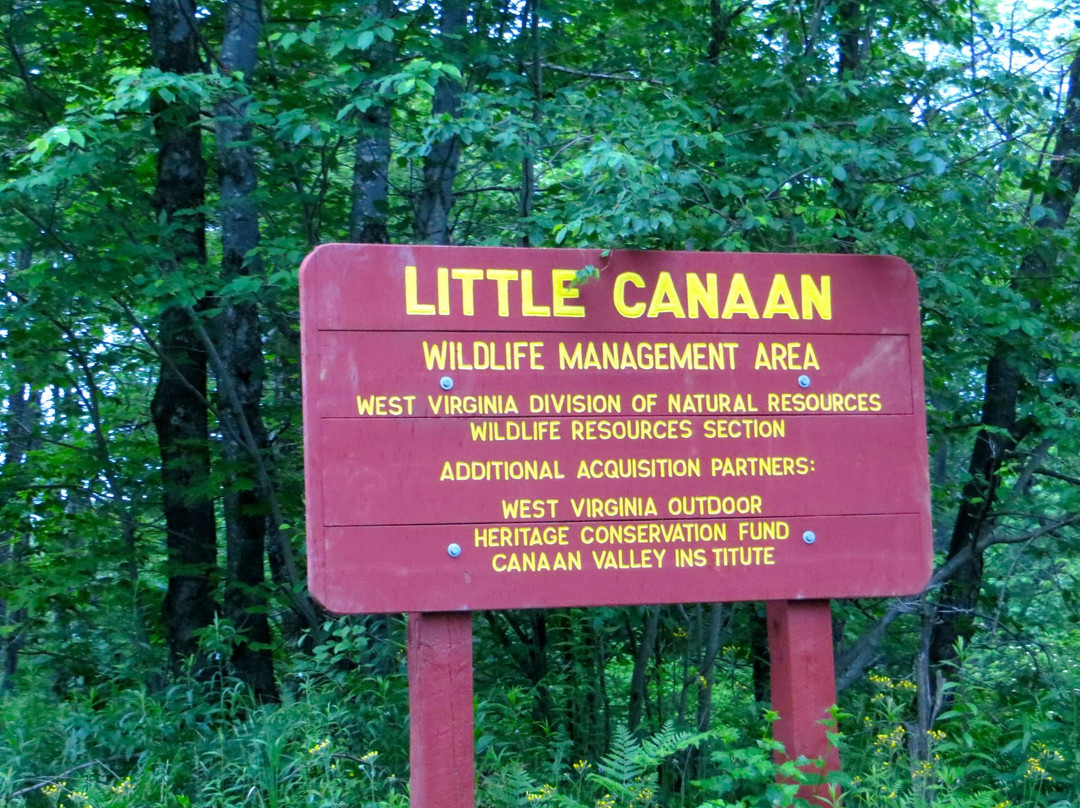 Little Canaan Wildlife Management Area-戴维斯必去景点