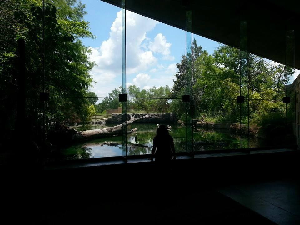 Flint RiverQuarium-奥尔巴尼必去景点