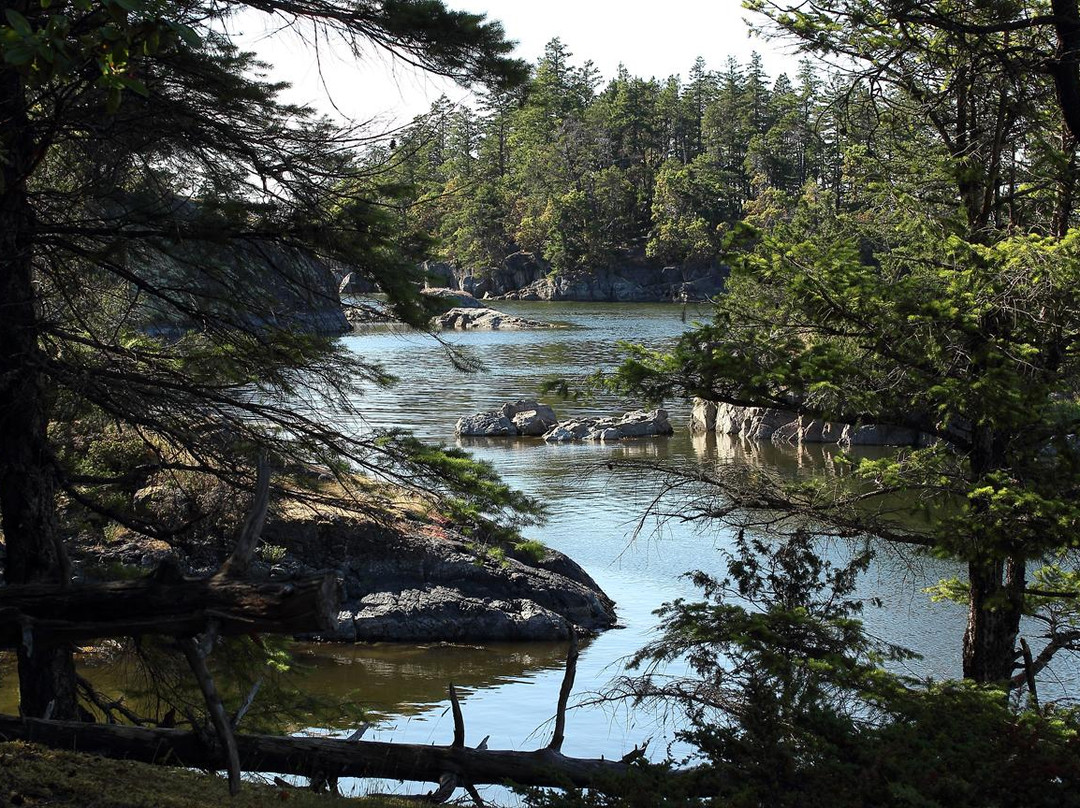 Secret Cove Cottage Suites