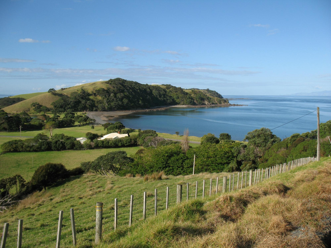 新西兰红酒升级之旅-奥克兰葡萄酒之旅-奥克兰中心地区必去景点