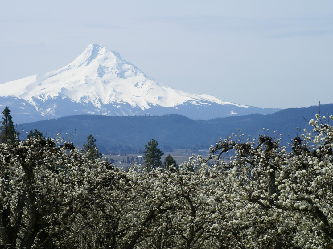 Panorama Point County Park-胡德里弗必去景点