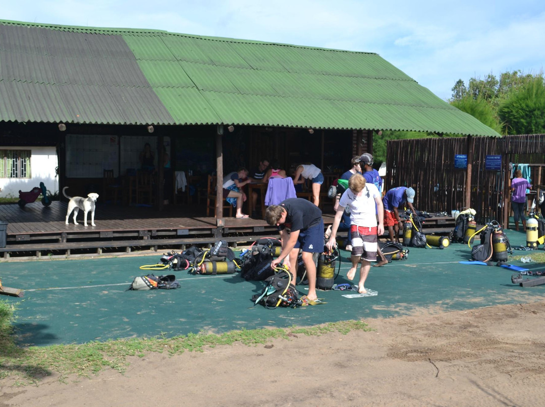 Simply Scuba Dive Charters-Ponta do Ouro必去景点