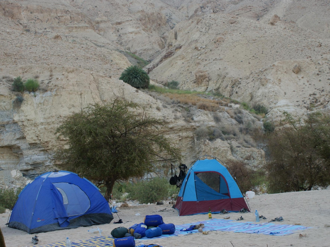 Tropical Desert-安曼必去景点