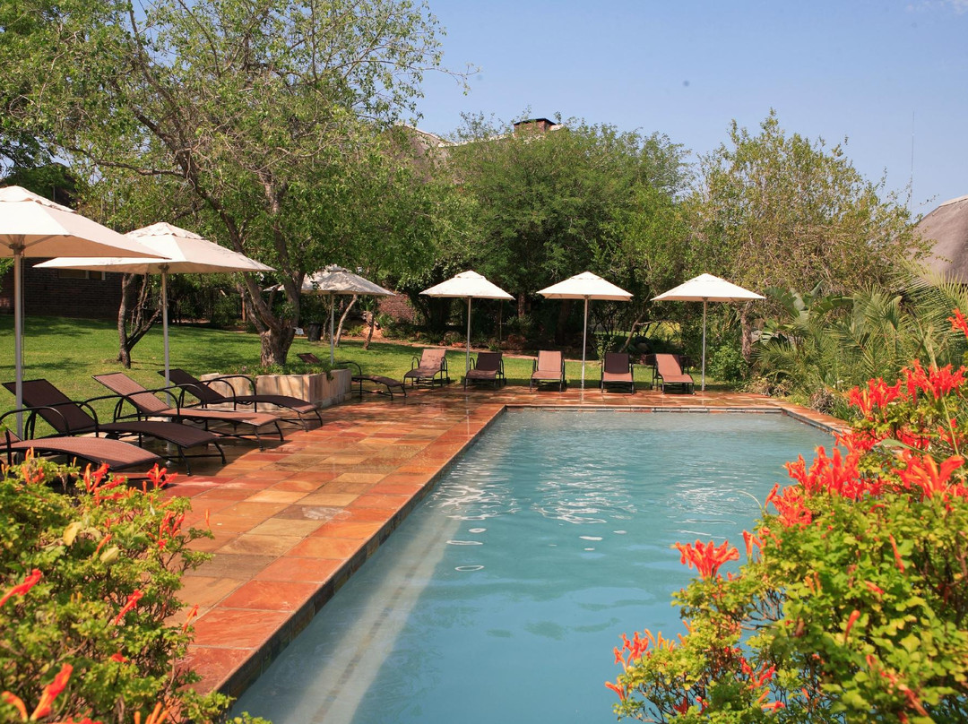 Ngwenya Lodge