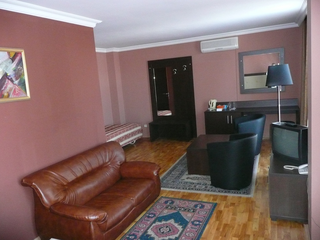 Airport Hotel Consul主图