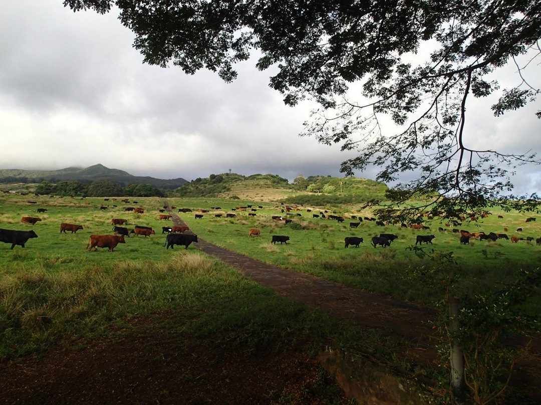 Fagan's Cross-哈纳必去景点