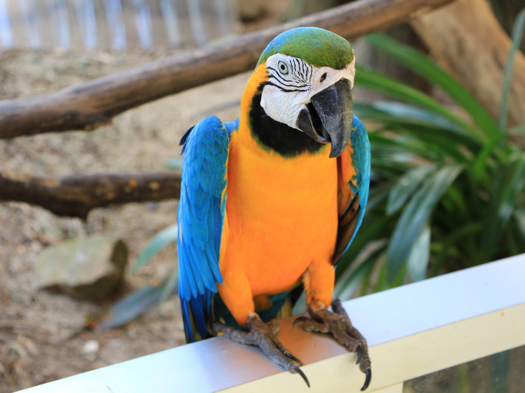 兰卡威野生动物园-兰卡威必去景点