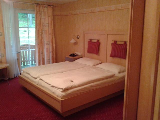 Wald Hotel Willingen-客卧