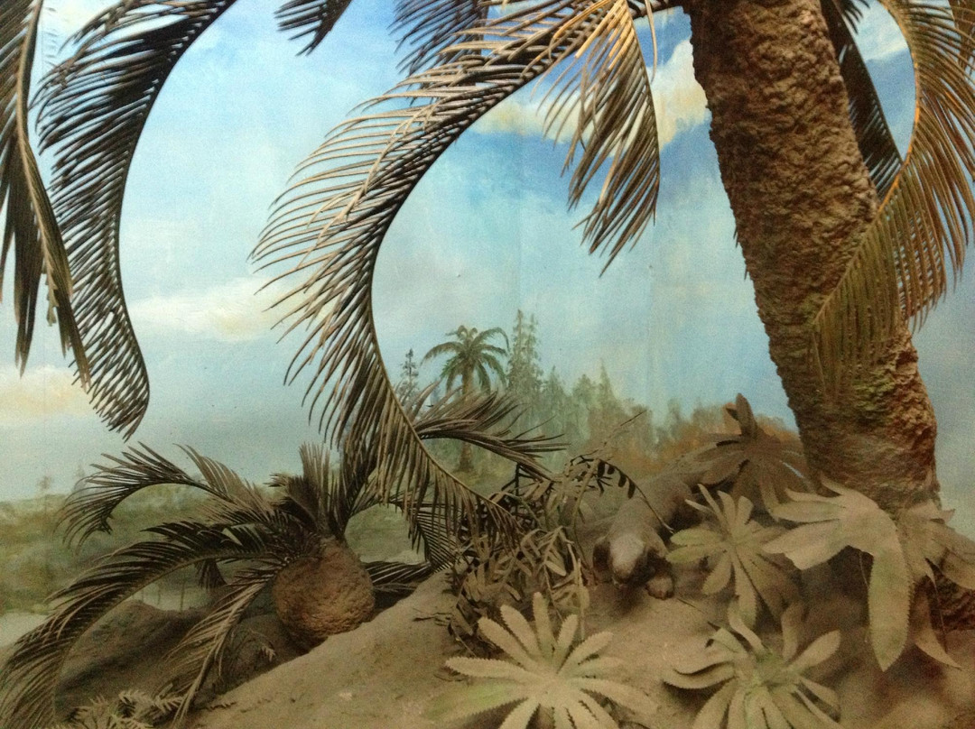 上海自然博物馆(静安新馆)-上海市必去景点