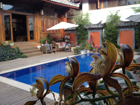 无尔山下｜金山映雪·雾漫泳池花园度假美宿主图