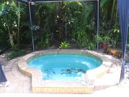 Frangipanni Bed & Breakfast主图