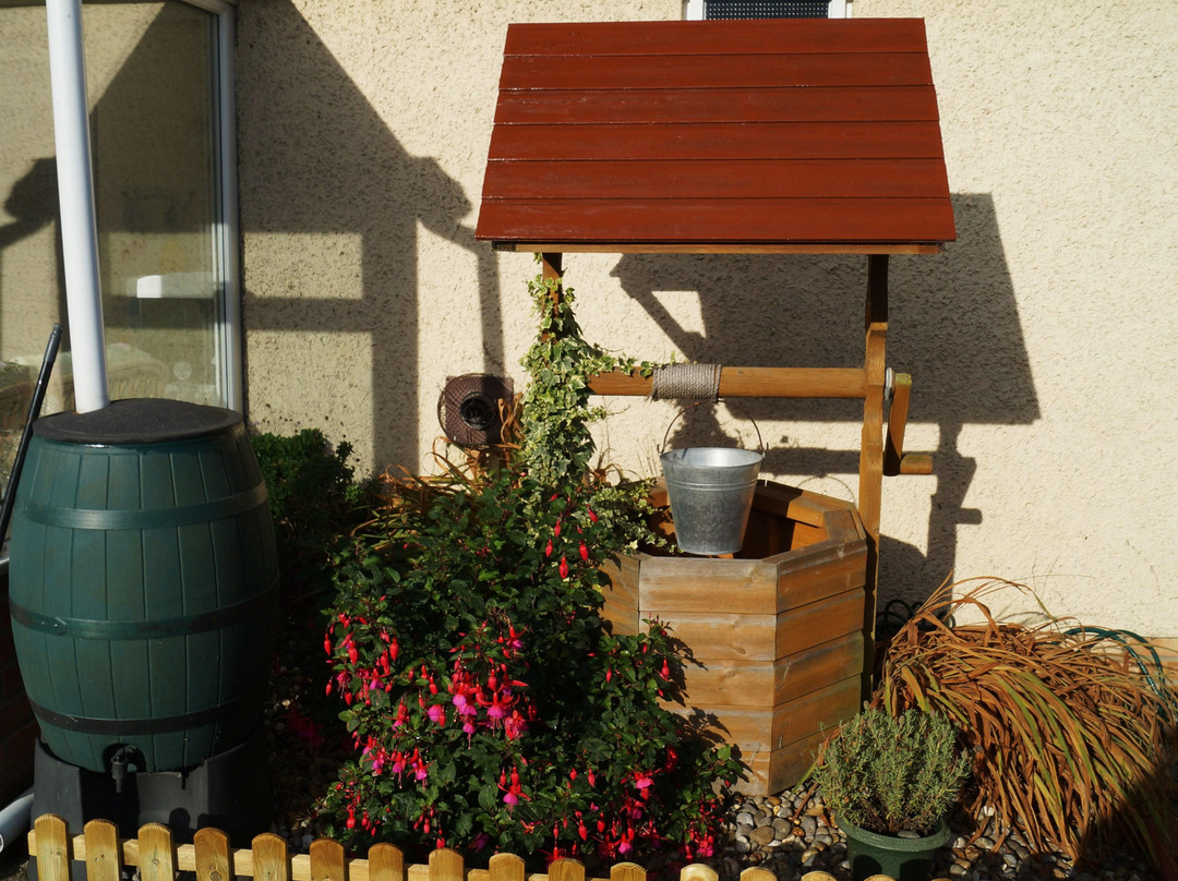 Rosevale Bed and Breakfast主图