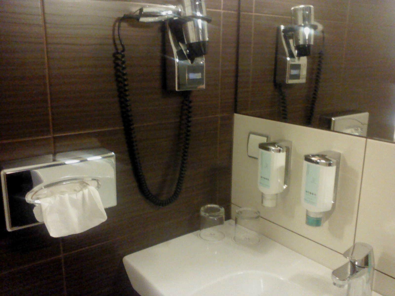 Hotel Triumph Palace-浴室