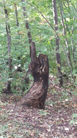 香炉山-宾县必去景点