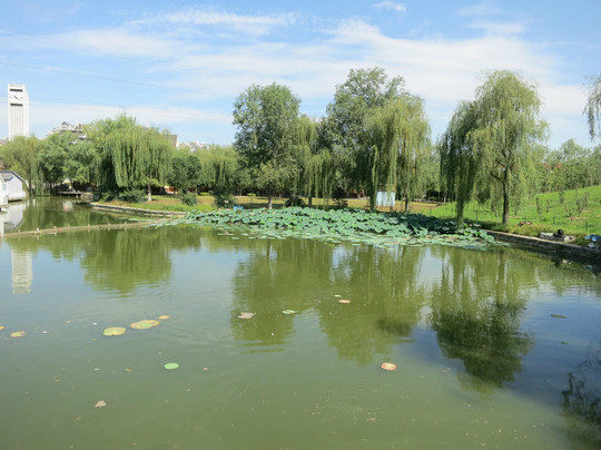 北京郁金香温泉花园度假村主图