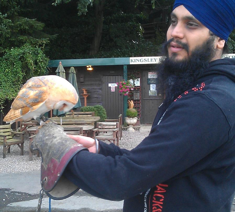 Kingsley Bird & Falconry Centre景点图片