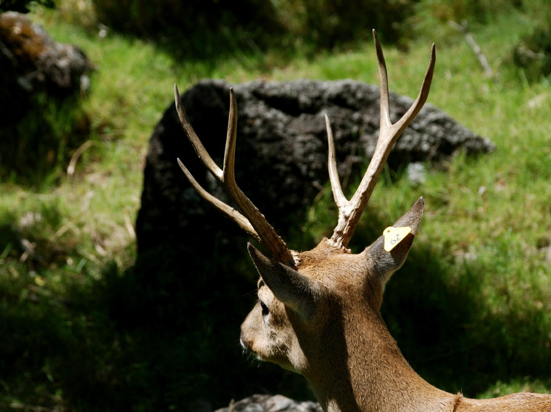 La Estacion de Cria de Fauna-Piriapolis必去景点