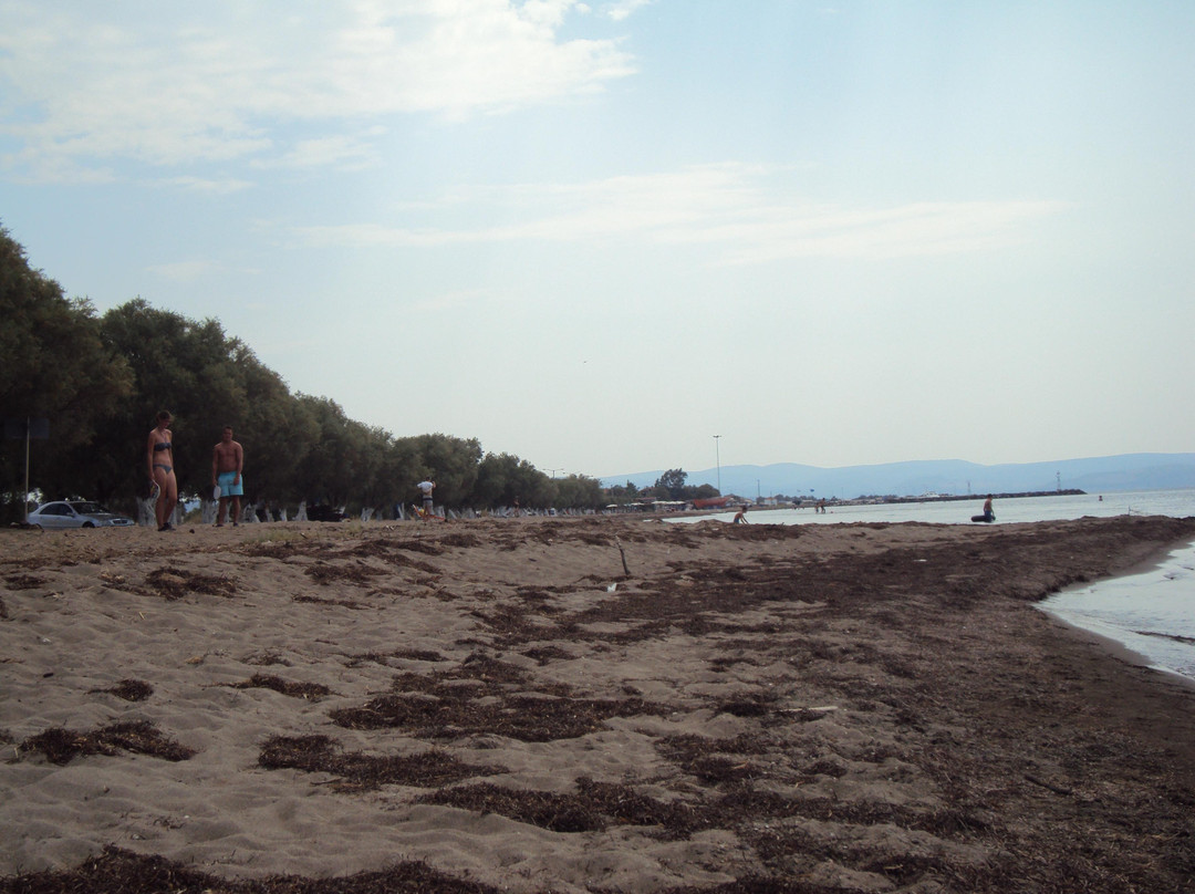 Skala Kallonis Beach-Skala Kallonis必去景点