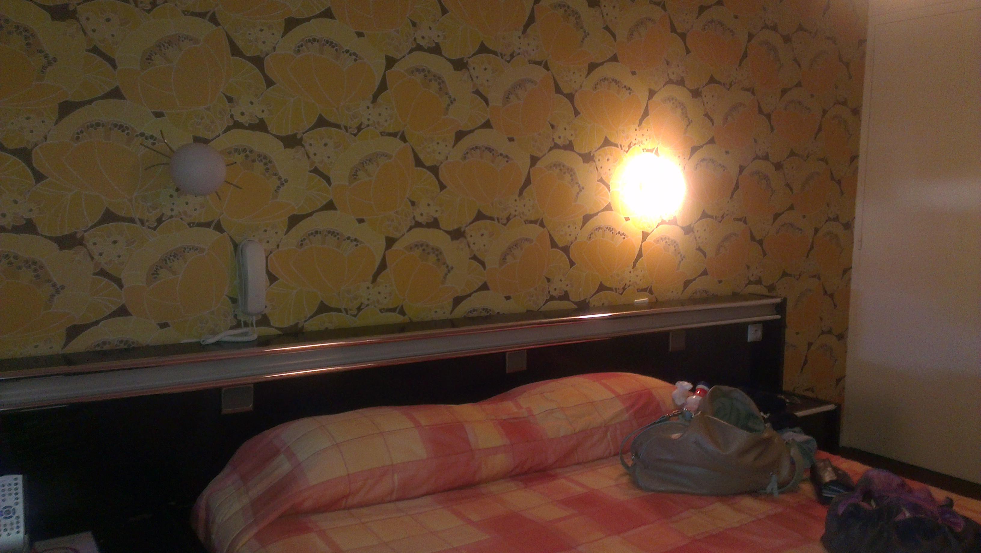Hotel Bellevue-客卧