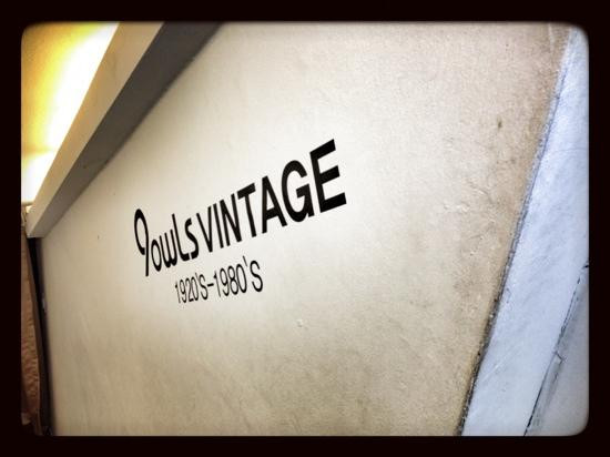 新沙洞林荫树路-首尔必去景点