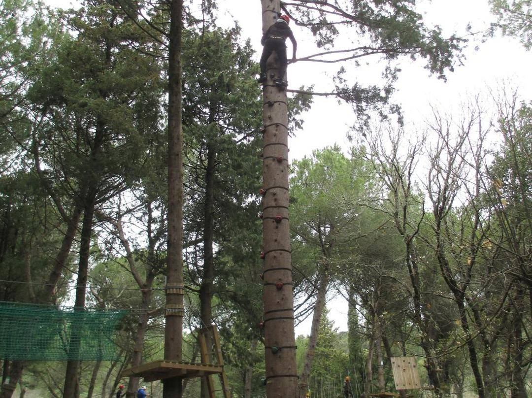 Parcallario Adventure Park into the Monti Iblei景点图片