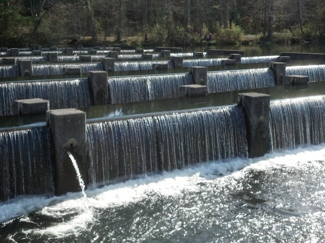 South Holston Dam-布里斯托尔必去景点