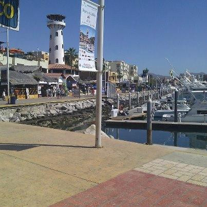 Marlin Alley-卡波圣卢卡斯必去景点