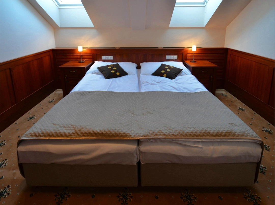 Bystrice pod Hostynem酒店住宿-Hotel TACL Holesov