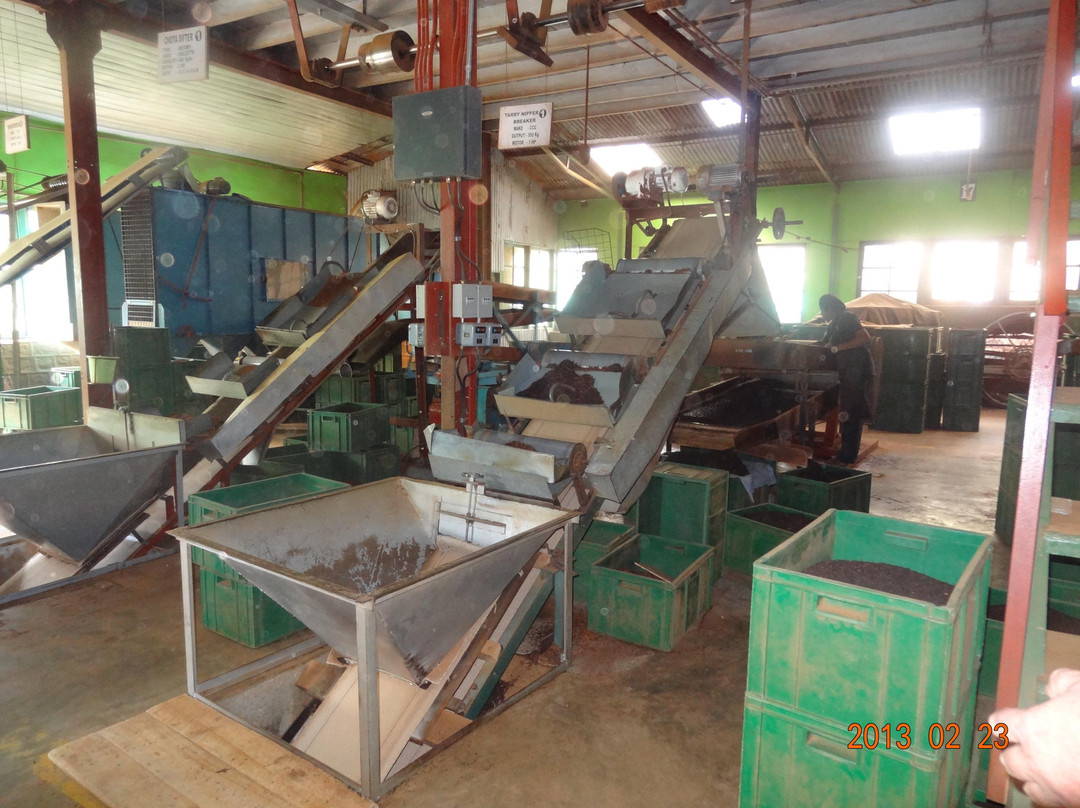 Glenloch Tea Factory景点图片
