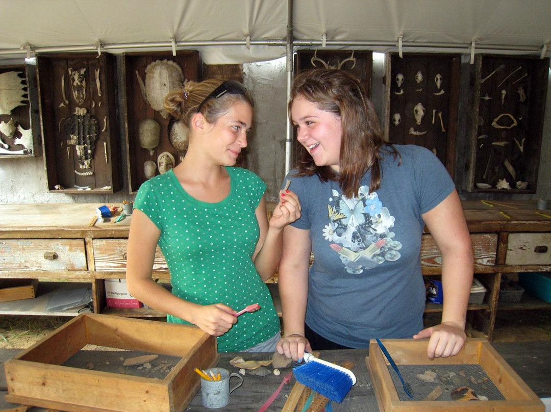 Old Florida Museum-棕榈海岸必去景点