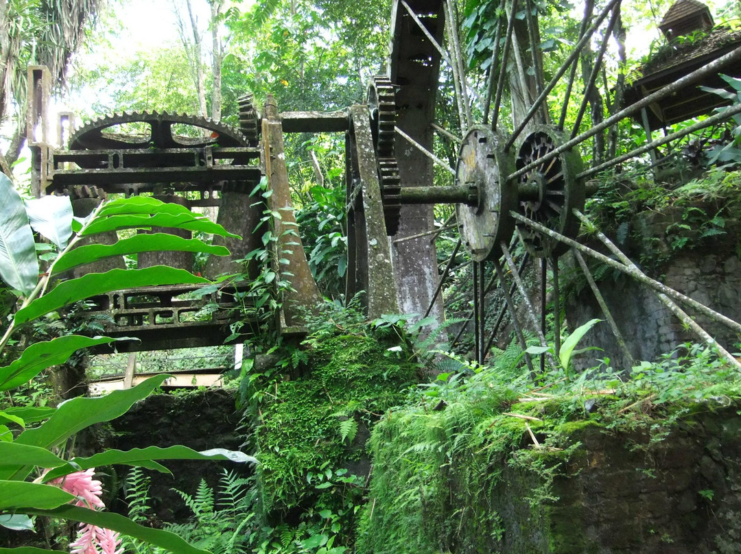 Arnos Vale Waterwheel and Nature Park-多巴哥必去景点
