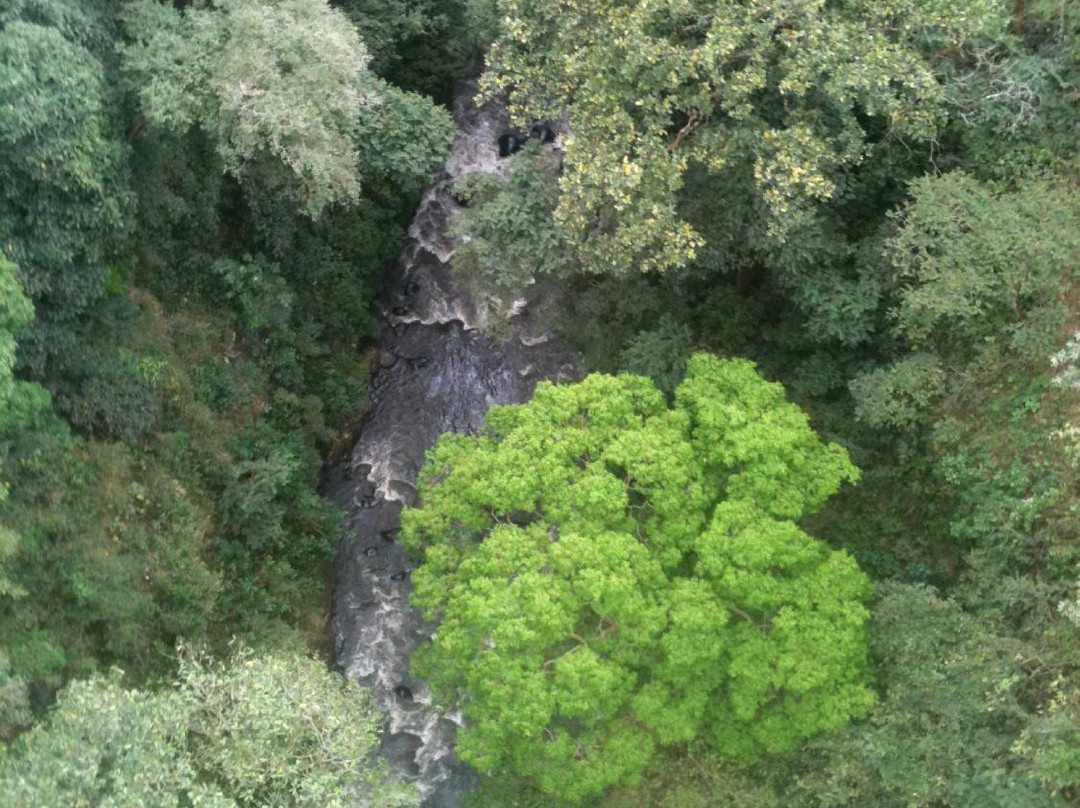 Tropical Bungee景点图片