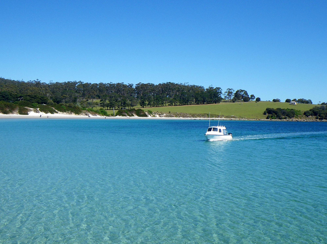 Tasmania I Drive-霍巴特必去景点