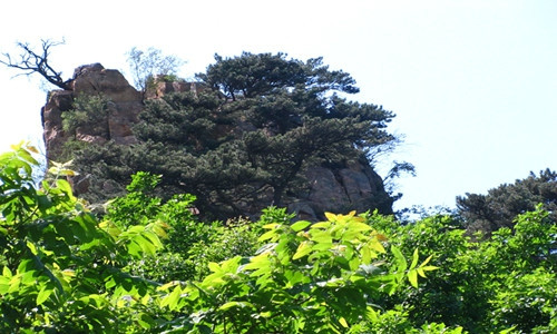 九龙川-海城市必去景点