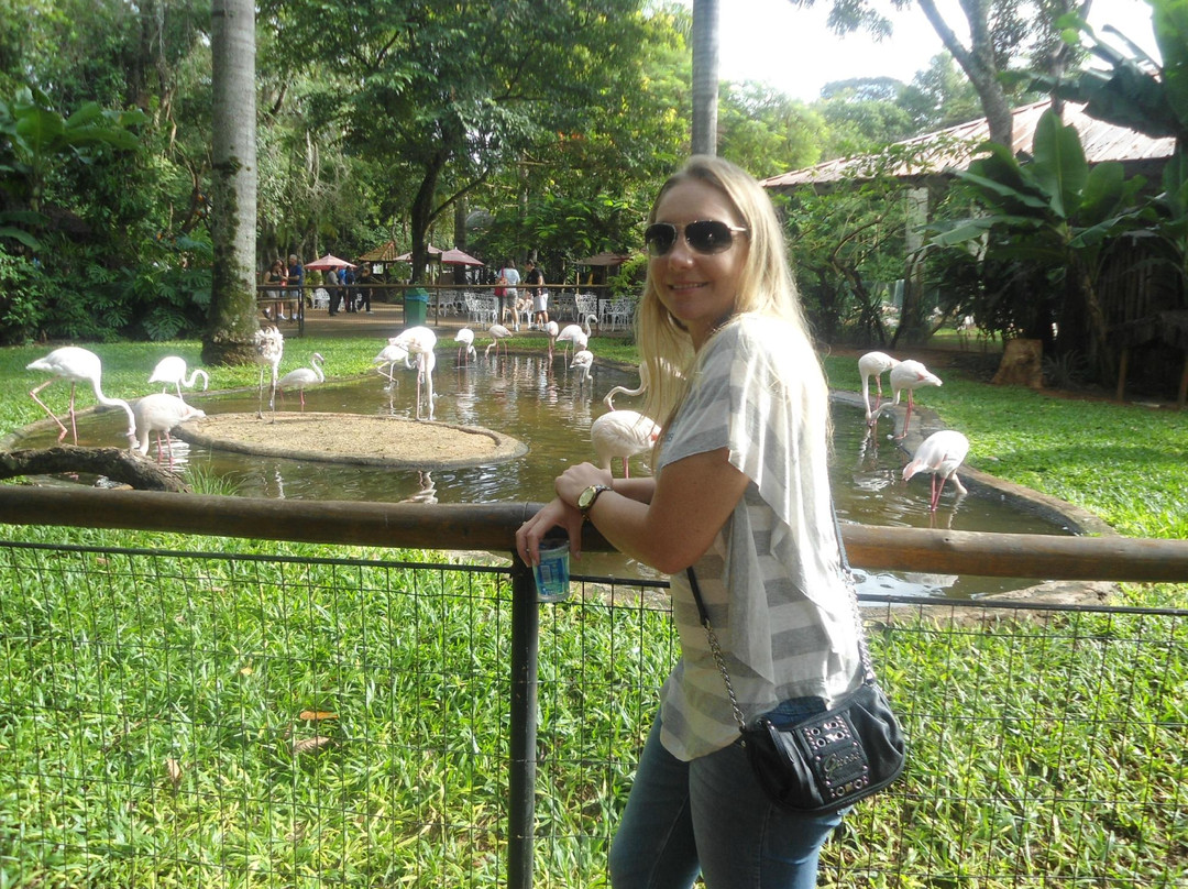 Parque das Aves-伊瓜苏必去景点