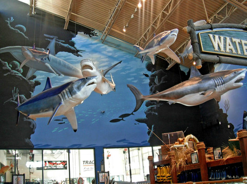 低音乐器专卖店-拉斯维加斯必去景点