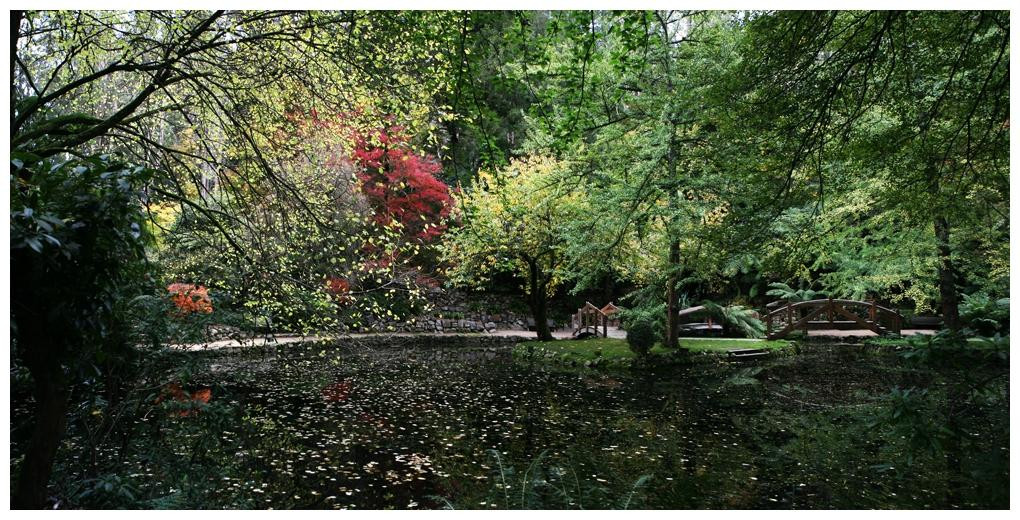 Alfred Nicholas Memorial Gardens-希尔布鲁克必去景点