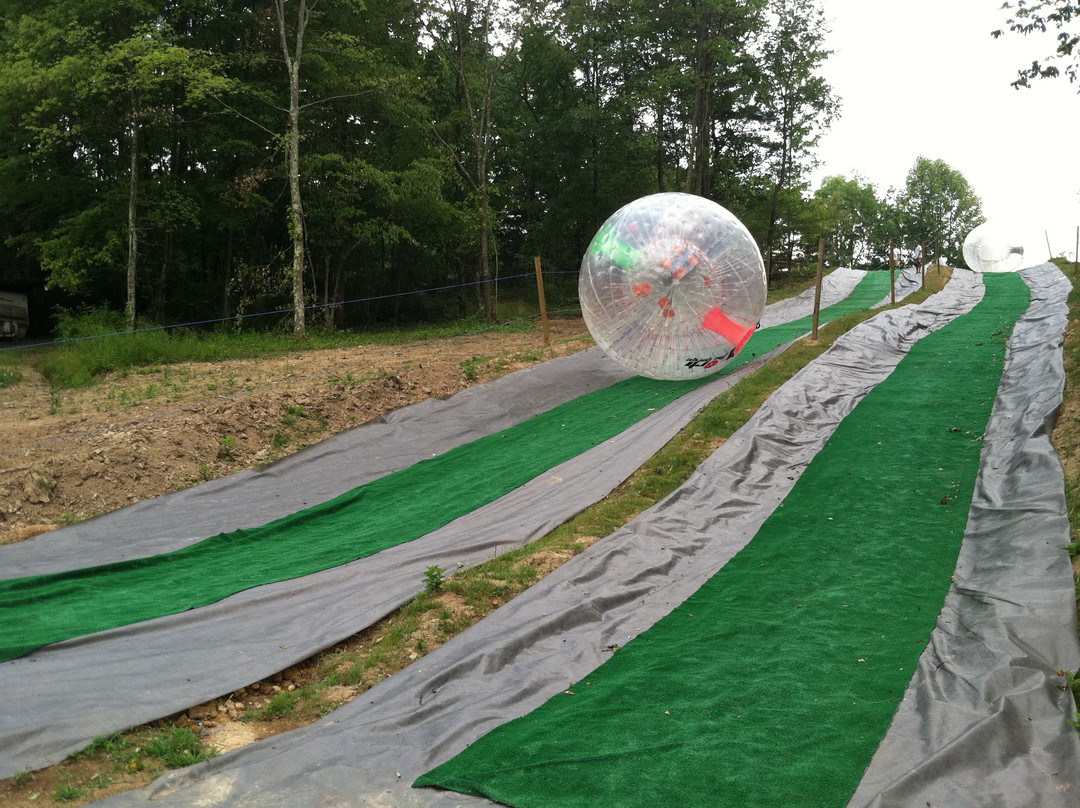 Orb the Gorge-Lansing必去景点