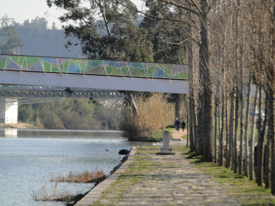 Ponte Pedro e Inês景点图片