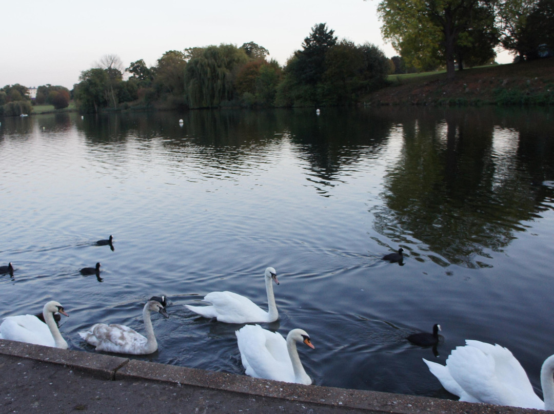 Mote Park景点图片