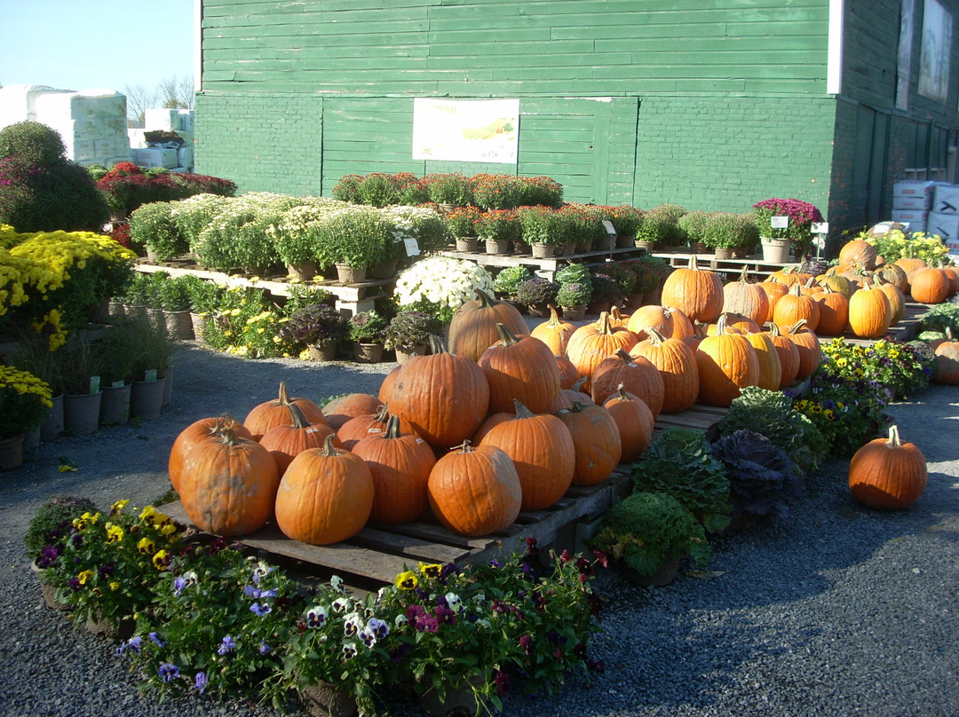 Schoharie Valley Farms景点图片