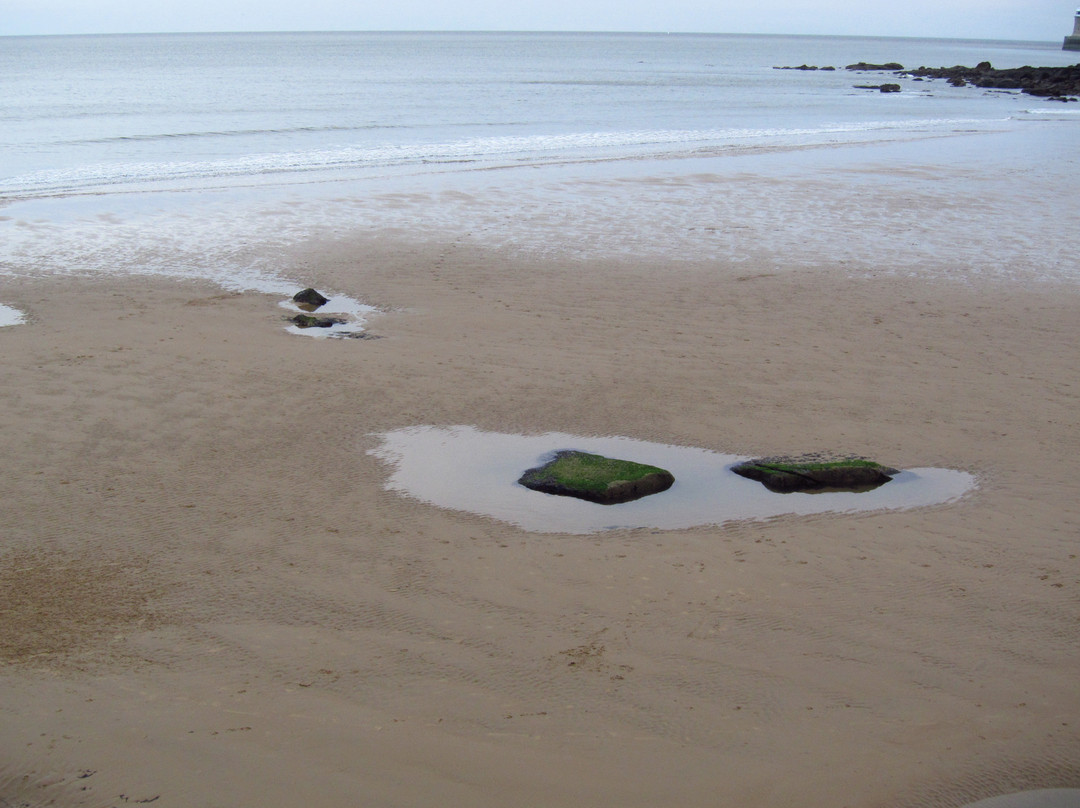 Long Sands Beach景点图片